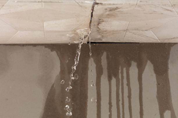 Professional Water Damage Inspection technician working in Odonnell, TX